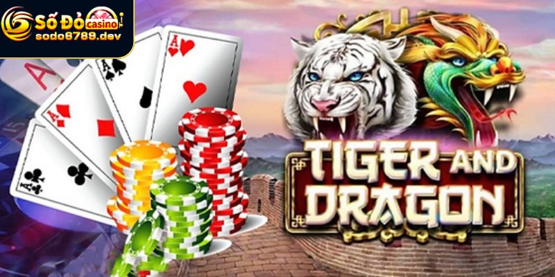 Cách Chơi Rồng Hổ - Hướng Dẫn Chi Tiết Từ A Đến Z Dễ Hiểu 3 Chiến thuật chơi rồng hổ đạt mức nâng cao