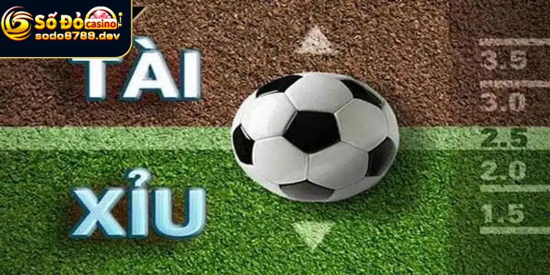 Kèo Tài Xỉu Là Gì? Các Tỷ Lệ Và Kinh Nghiệm Chơi Hiệu Quả 4 Kinh nghiệm tham gia đặt kèo tỷ lệ tài xỉu